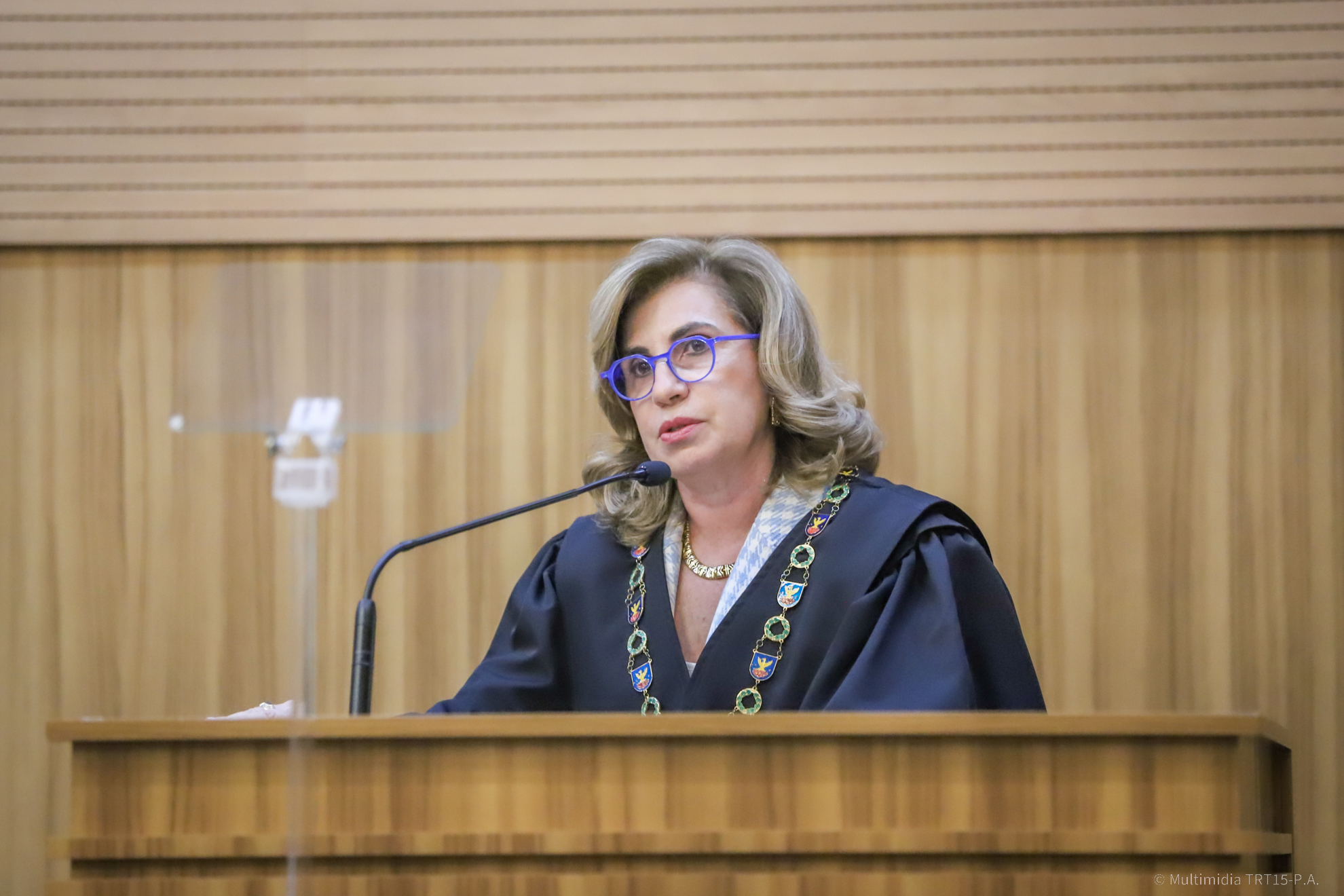 dra ana paula posse dra adriene